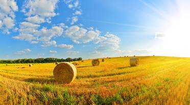 farm
