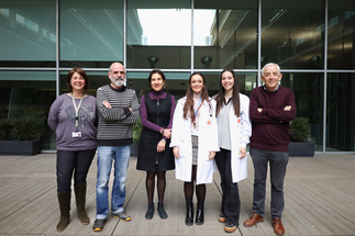 Dyskerin May Signal When SCC Is on The Move image