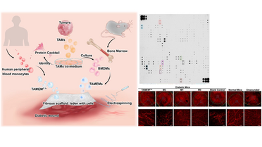 Can Harnessing a Tumors Power Help Heal Diabetic Foot Ulcers image