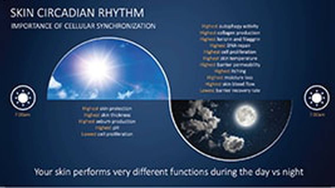 Metabolomics Highlights The Importance of Circadian Rhythm in Skin image