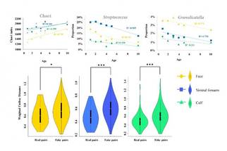 Mode of Delivery at Birth May Shape Childs Skin Microbiome image