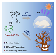 Coralfriendly Sunscreen Provides Better UV Protection Than Existing Options image