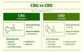 Is CBG the Next CBD for Skincare image