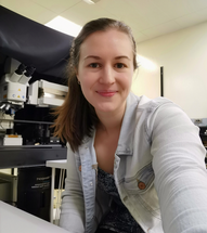 Researchers Discover New Approach to Healing Skin Infections Wounds image