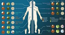 The Microbiome What Do We Know Now image