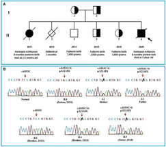 Novel Rare Mutation in ABCA12 Gene linked to HI image