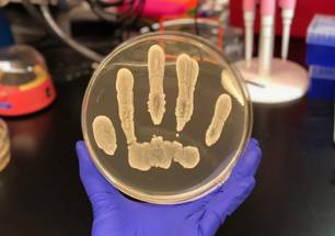 ReachMD Healthcare Image