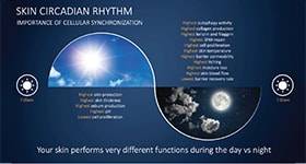 Metabolomics Highlights The Importance of Circadian Rhythm in Skin image
