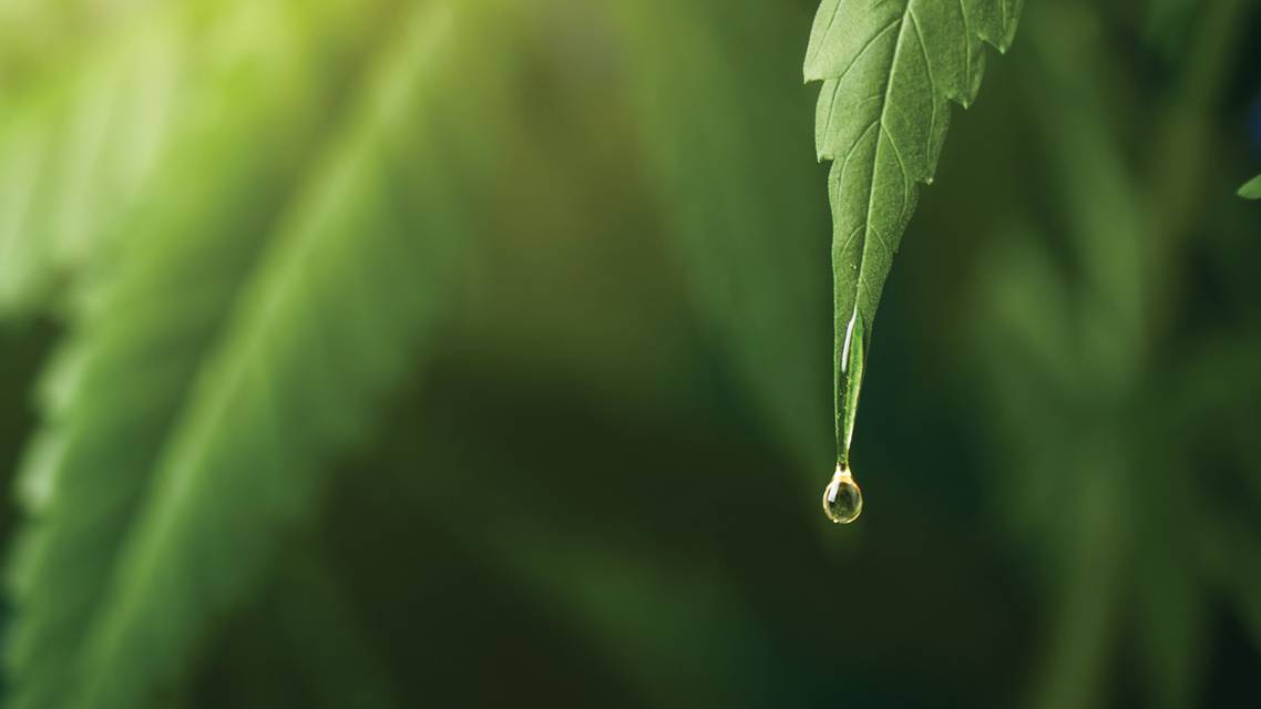 cannabinoid