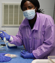 Blueberry Extract May Improve Wound Healing image